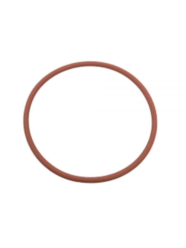 Oring de vedacao da caldeira cafeteira delonghi manual P2 I7