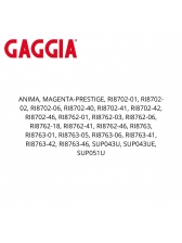 Bico para agua quente para cafeteira gaggia anima prestige e anima xl P2 D5