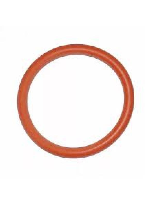 Oring de vedacao grupo cafe delonghi P2 C8